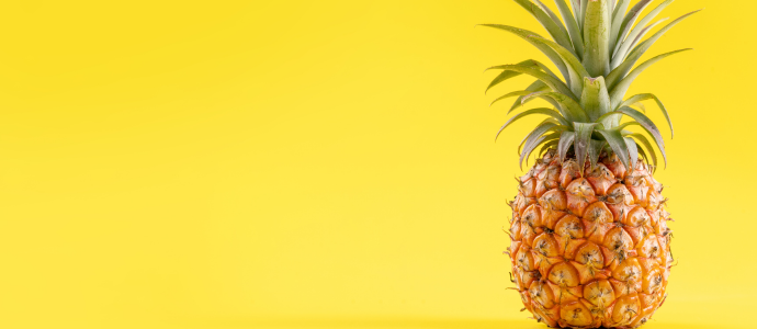 duerfen-hunde-ananas-essen