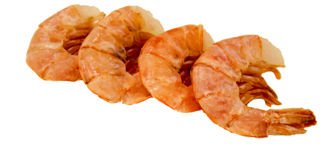 duerfen-hunde-garnelen-essen