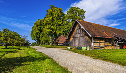 Regionale Qualität bei SALiNGO