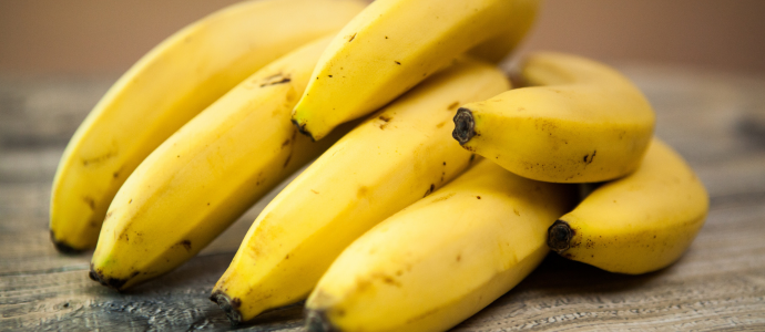 duerfen-hunde-bananen-essen duerfen-hunde-bananen-essen