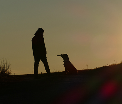 SALiNGO Qualität Hundefutter und Katzenfutter