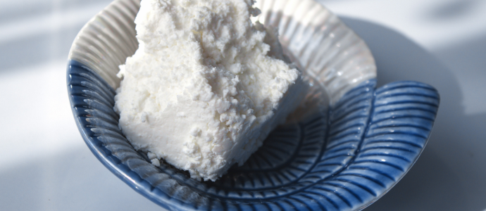 duerfen-hunde-quark-essen