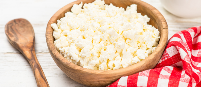 duerfen-hunde-kaese-essen duerfen-hunde-kaese-essen