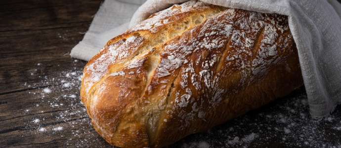duerfen-katzen-brot-essen
