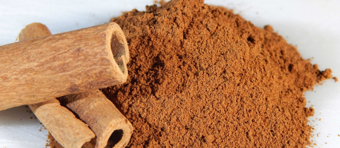 duerfen-hunde-zimt-essen