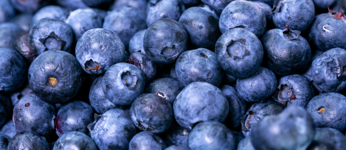 duerfen-katzen-blaubeeren-essen