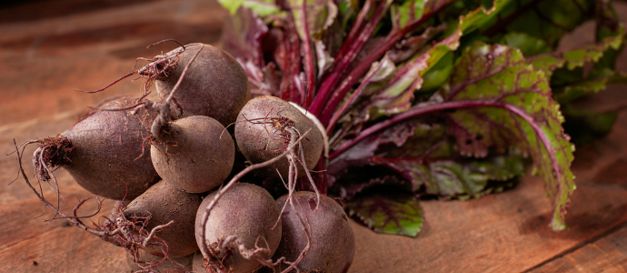 duerfen-hunde-rote-beete-essen