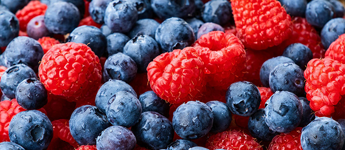 Dürfen Katzen Obst fressen und vertragen Sie es