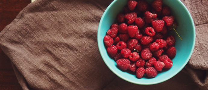 duerfen-hunde-himbeeren-essen