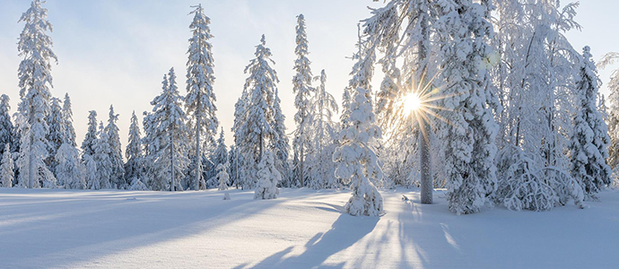 So bringen Sie Hund und Katze fit durch den Winter