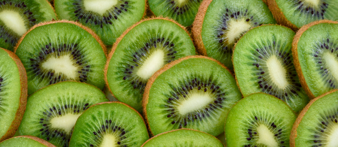 duerfen-hunde-kiwis-essen