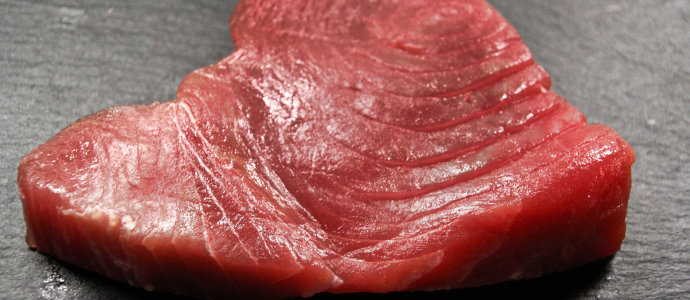 duerfen-katzen-thunfisch-essen