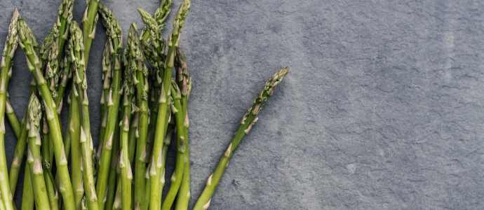 duerfen-hunde-spargel-essen duerfen-hunde-spargel-essen