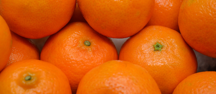 duerfen-hunde-mandarinen-essen