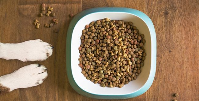 hundefutter glas Hundefutter mit Bio-Rind im Glas main image 0